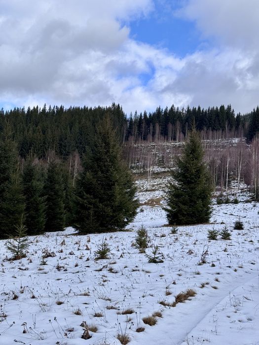 Земля 3,64 га у Карпатах, вид на Чорногірський хребет, під будівництво