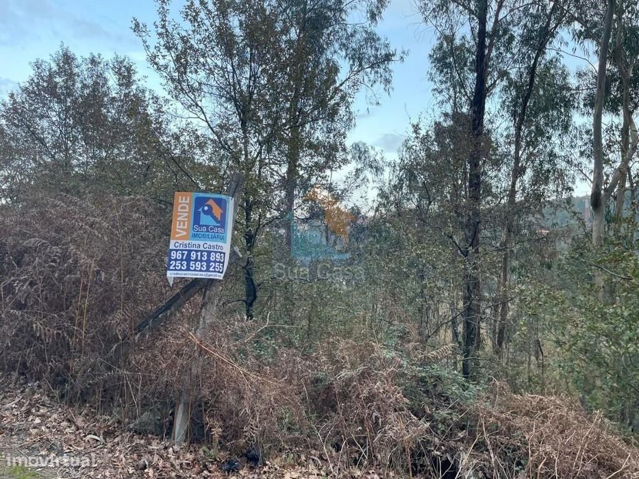 Terreno na cidade de Fafe com 42 585 m2.