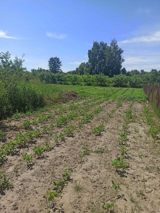Продається земельна ділянка в селищі Літин 5827