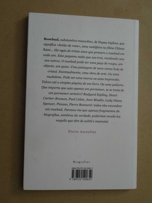 Rosebud de Pierre Assouline