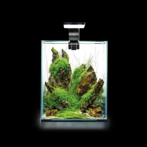 AquaEl shrimp set 10L czarny
