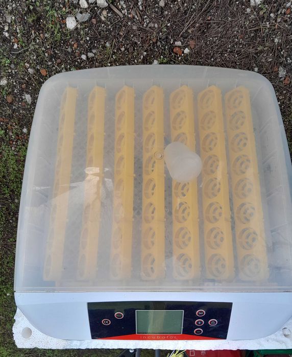 Chocadeira automática para 56 ovos