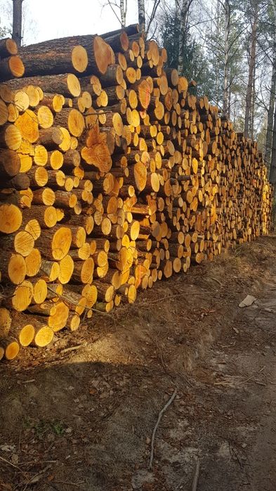 Olcha opał, wałki 200cm oraz lipowe dla rzeźbiarzy