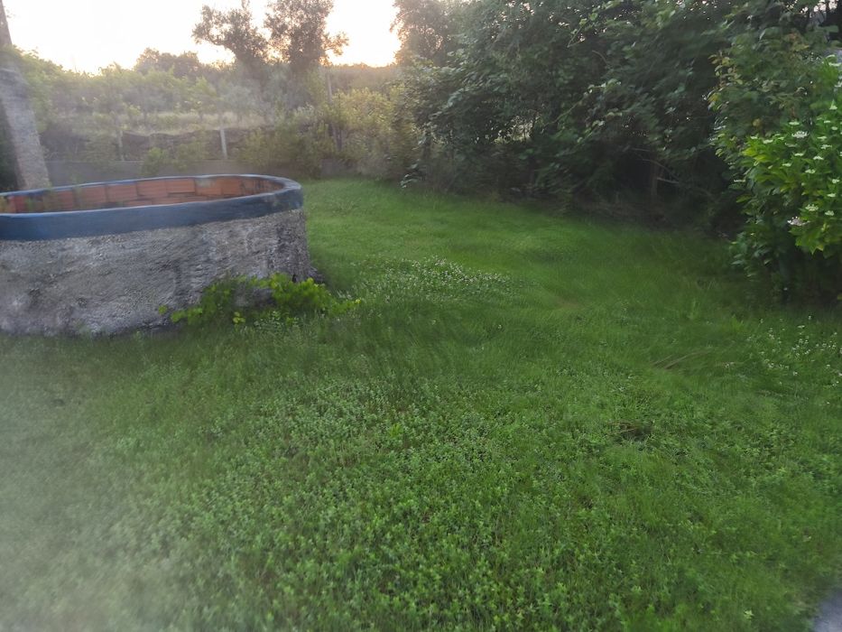 Limpeza de terrenos