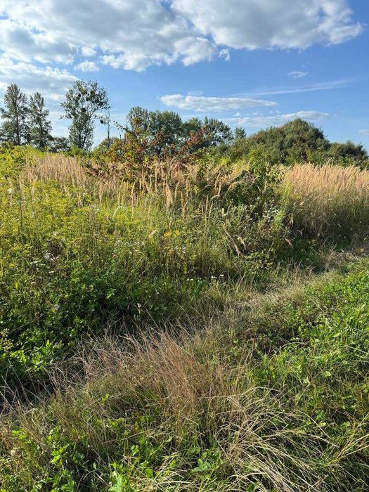 земельна ділянка 10 сот. ОЖБ с. Малі Підліски