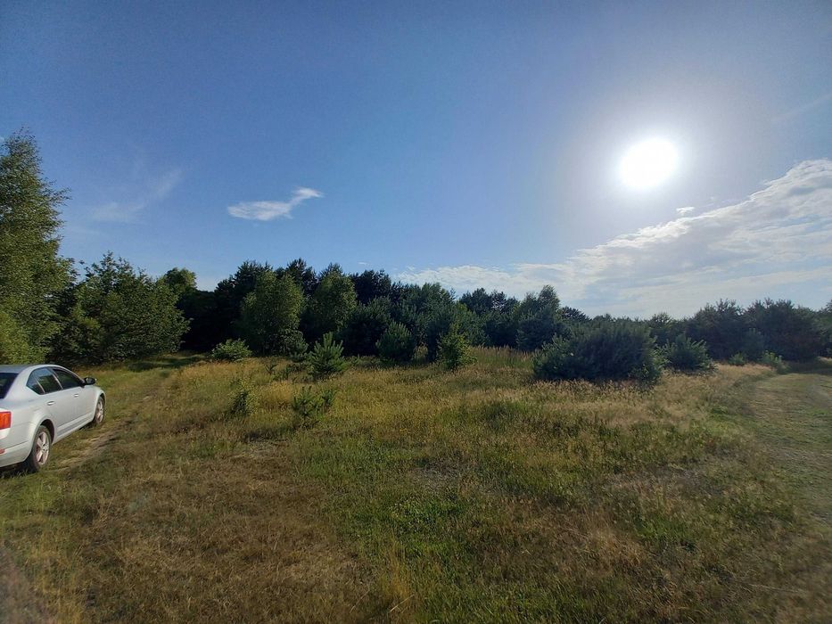 Działka leśna 6800 m Sudzin/nad Pilicą gm. Żytno - Widok 2