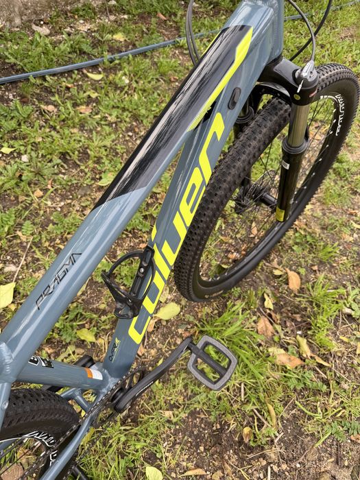 Coluer 29 - 12 velocidades