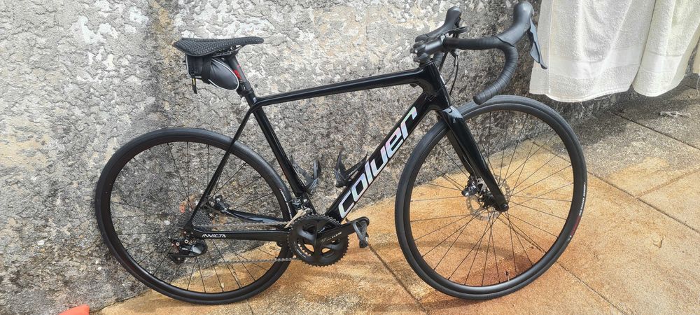 Coluer invicta disc