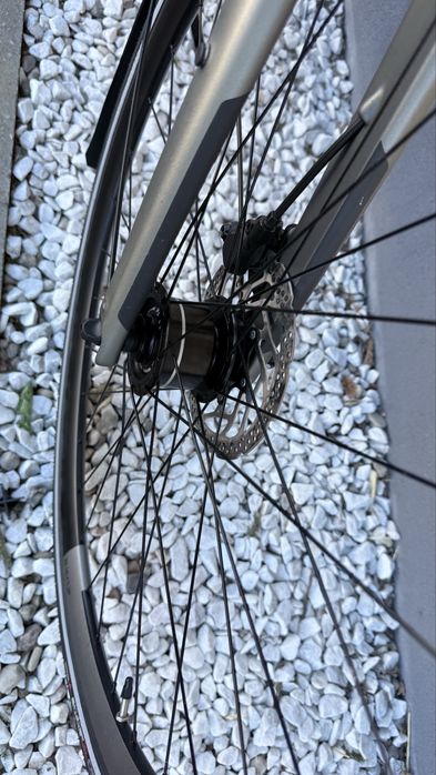 Rower Specialized Sirrus Elite