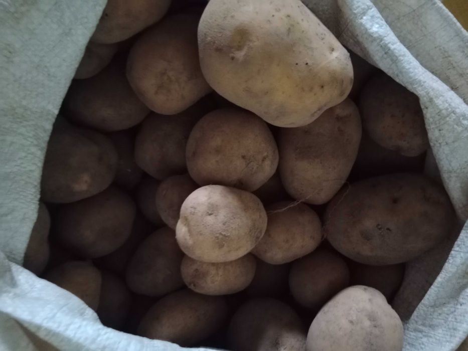 Sprzedam Ziemniaki