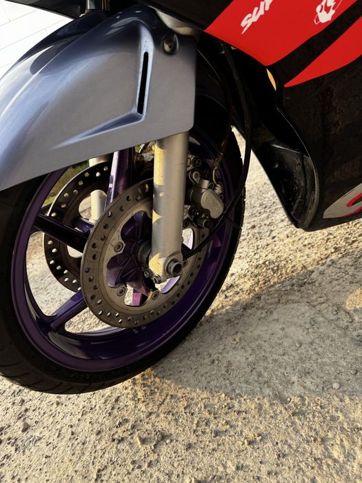 HONDA CBR 600 | Stalowy oplot | Carbon wydech