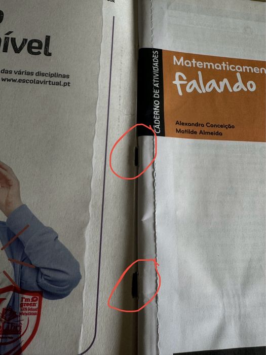 Cadernos de Atividade 3°Ciclo - ver preço detalhado na descrição