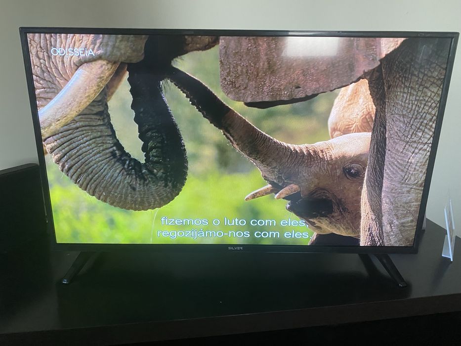 Smart tv 43 Silver