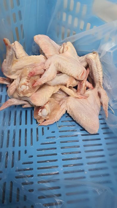 Крыло куринное. 60 грн/кг