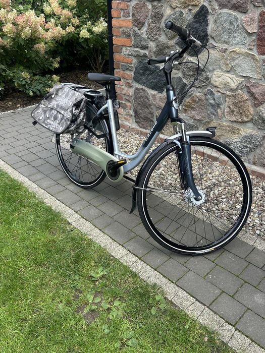 Rower Gazelle Grenoble C7