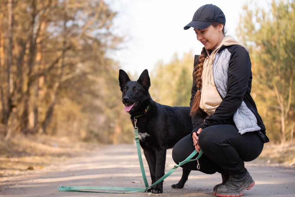 MAKIMA - młoda, aktyna, łagodna, idealna