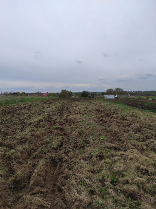 Ділянка Куликів Гребінці