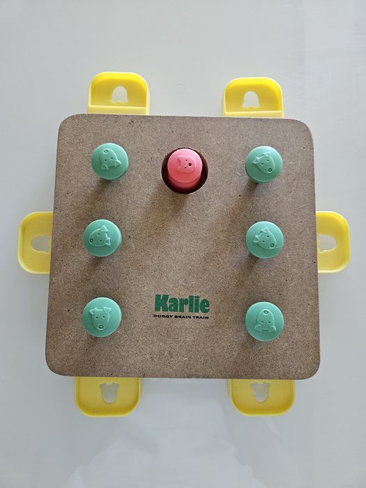 Karlie Doggy Brain Train – Jogo de Inteligência para Cães