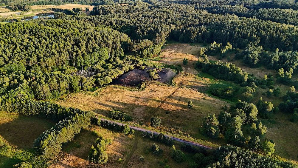 Rzepowo, działka rolna 3,15ha, woj. zachodniopomorskie