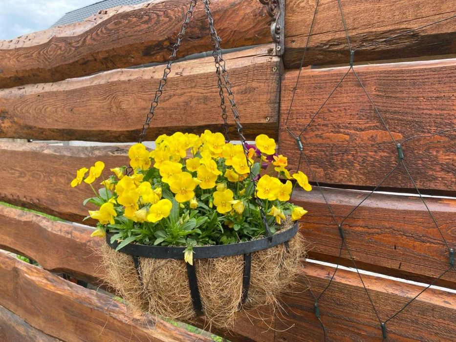 Zestaw 3 doniczki kokos wiszące kosze na kwiaty doniczka na łańcuchu