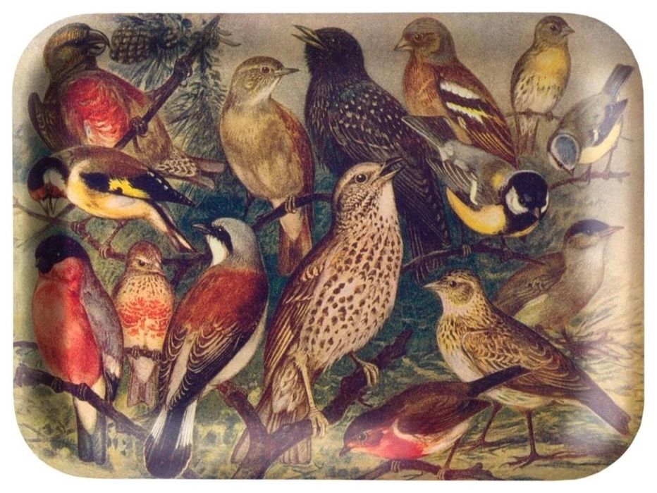 Tacka kuchenna ozdobna Ptaki oprawa: folia