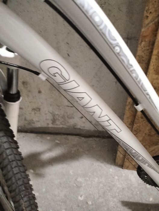 Rower damski Giant