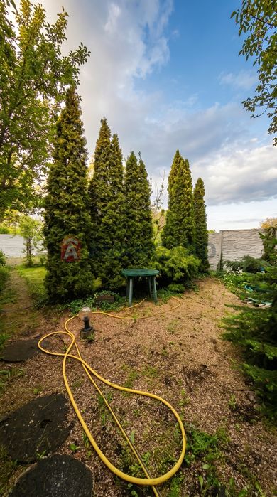 Продам дачу для життя та відпочинку. Поруч ліс та озеро