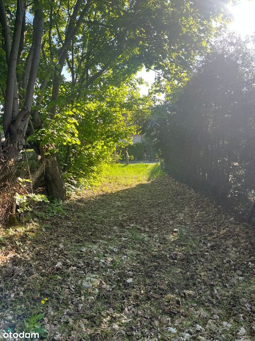 1775 m² w Pobiedziskach | Jezioro, szkoła, PKP, pełne media w drodze - Widok 3