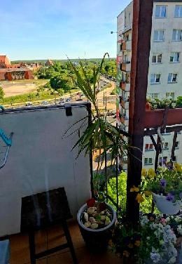 Kawalerka w centrum Torunia