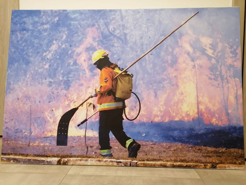 Obrazy w bardzo dobrym stanie