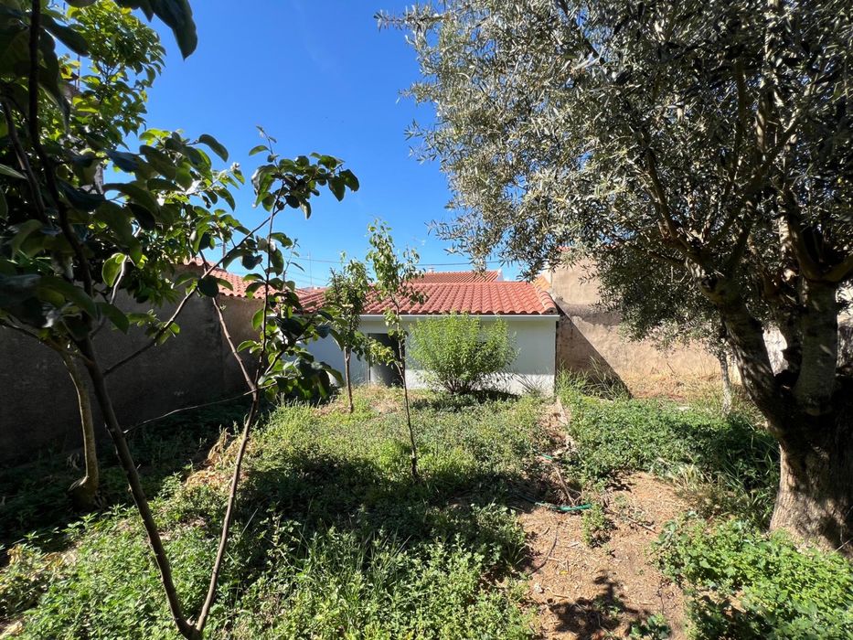 Garagem/Armazem  com WC e quintal