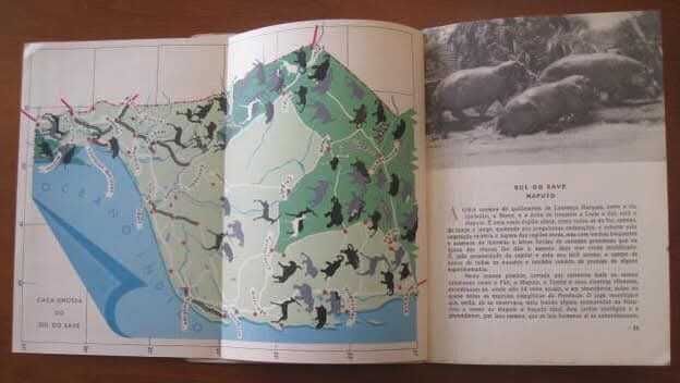 CAÇA EM MOÇAMBIQUE - Porto 1952 Muito Raro