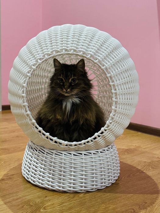 Котобудиночок з техноротангу | Ручна робота | Під замовлення