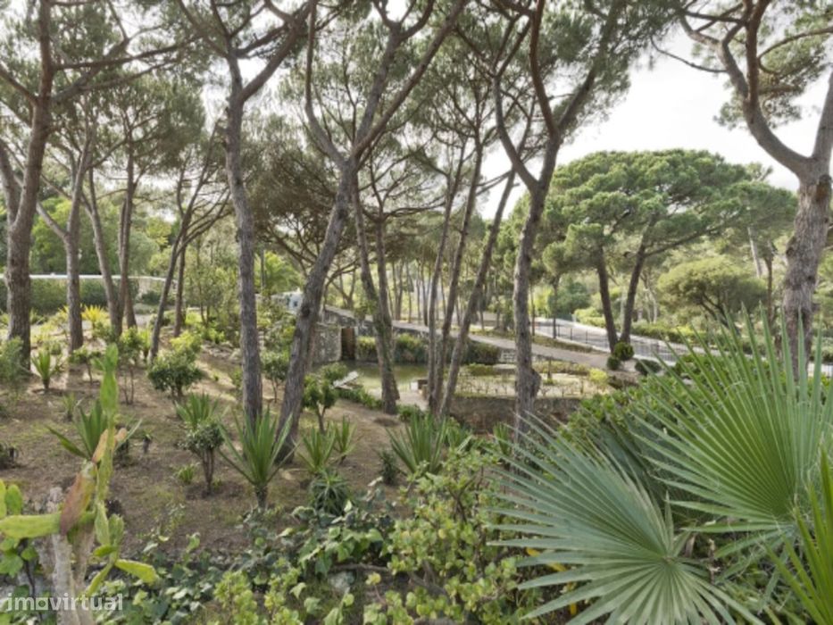 Vila de Luxo com piscina privada em Cascais