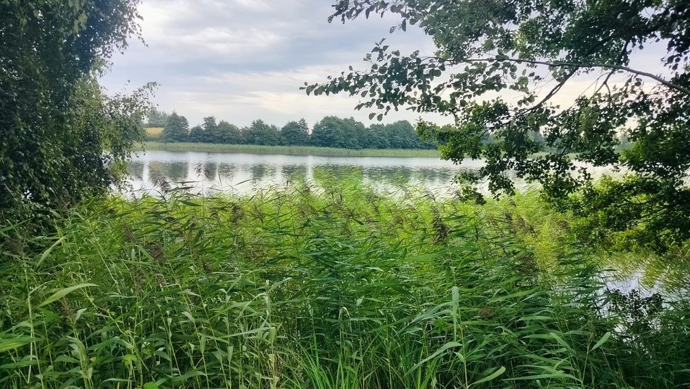 Działka budowlana przy jeziorze, Bory Tucholskie, WZ, media - Widok 5