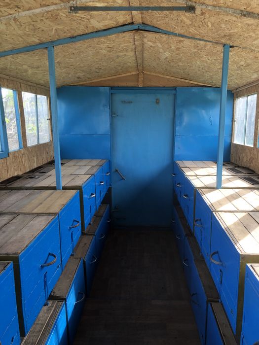 Бджолопавільйон з документами