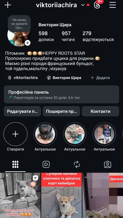 Коргі хлопчики та дівчатка