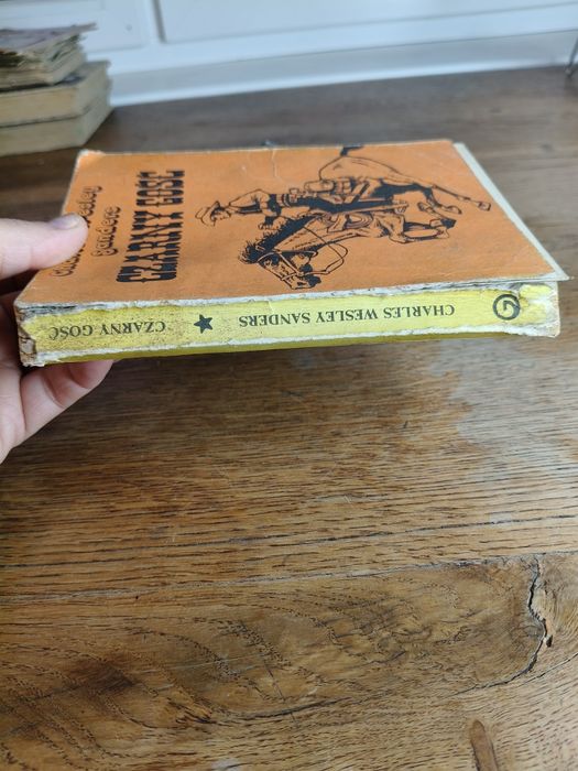 Książka Czarny gość ⁵⁹