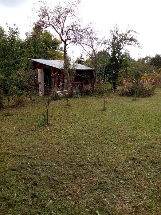 Działka ROD "Biała Róża" Gliwice