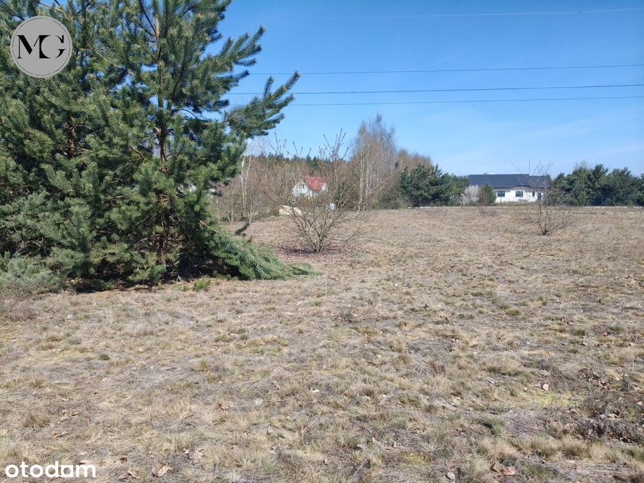 Duża Działka Budowlana Przy Lesie 3215m2