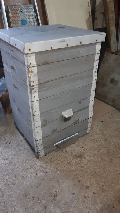 Вуликі б/У дадан 12 рамок продаж