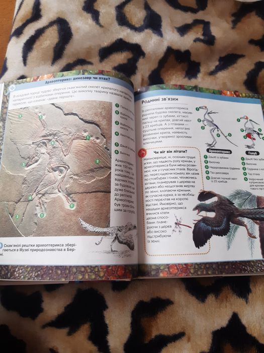 Сучасна Дитяча єнциклопедія