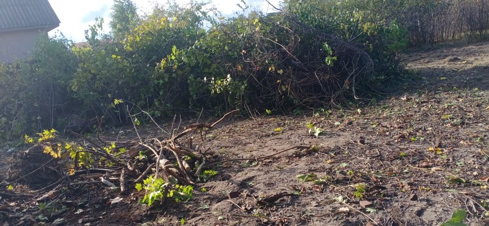 Расчистка територии,уборка и вывоз.