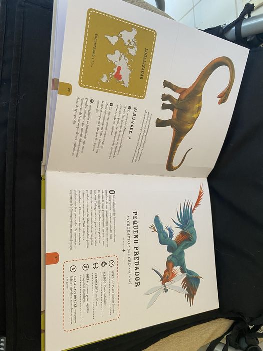 Livro “ O Mundo Assustador dos Dinossauros” - capa dura
