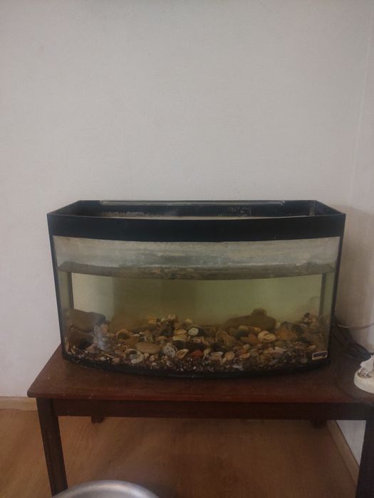Акваріум на 100 л