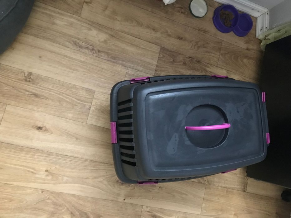 Переносках для кота