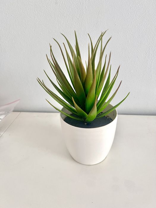 Sztuczny zielony kwiat z białą doniczka 8cm osłonka wysokość 20cm