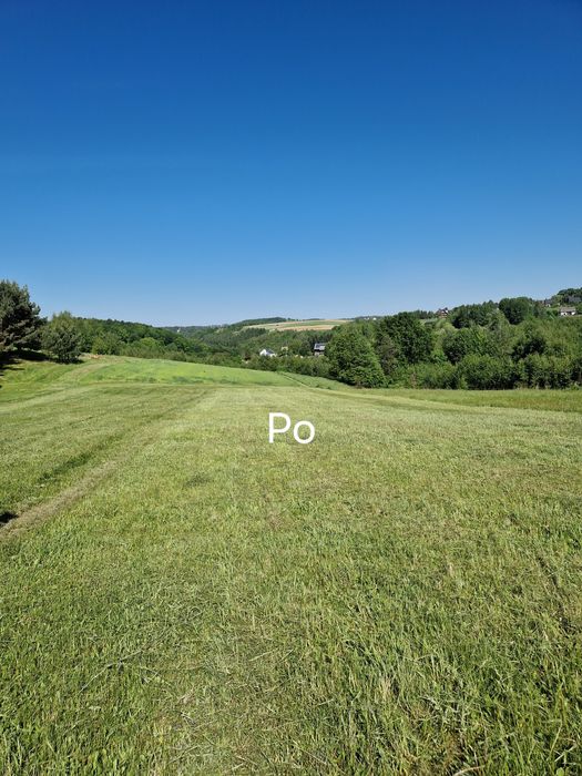 Usługa koszenia terenów mulczerem