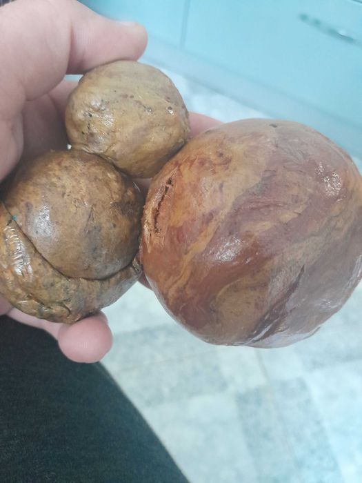 Продається прополіс