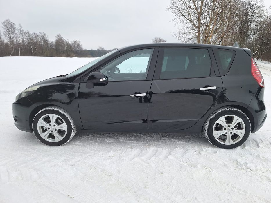 Ładny Scenic lift,  2010 rok, sprowadzony